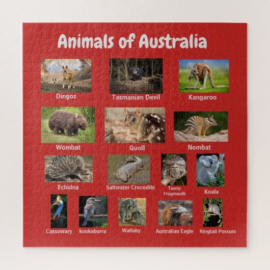 Australische dieren legpuzzel (Verticaal)