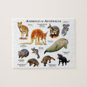 Australische dieren legpuzzel