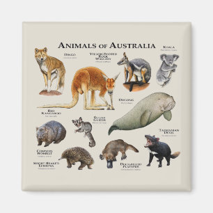 Australische dieren magneet
