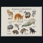 Australische dieren magneet<br><div class="desc">Serie van Dieren uit Australië achtergrond</div>