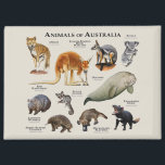 Australische dieren magneet<br><div class="desc">Serie van Dieren uit Australië achtergrond</div>
