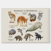 Australische dieren magneet (Voorkant)