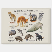 Australische dieren