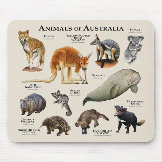 Australische dieren muismat (Voorkant)