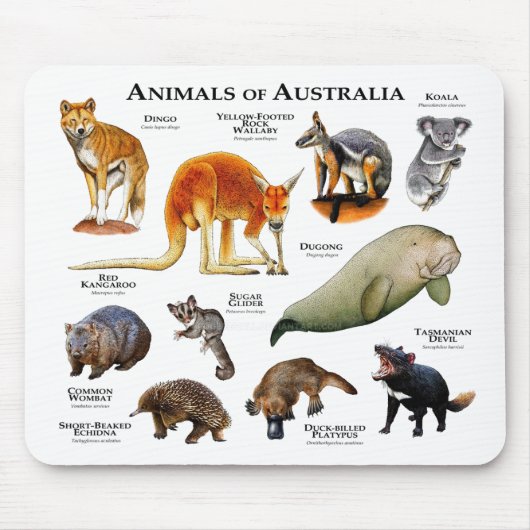 Australische dieren muismat (Voorkant)