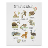 Australische dieren perfect poster (Voorkant)