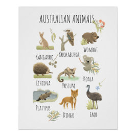 Australische dieren perfect poster