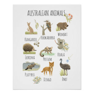 Australische dieren perfect poster