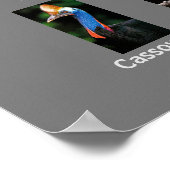 Australische dieren poster (Hoek)