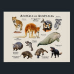 Australische dieren poster<br><div class="desc">Serie van dieren uit Australië achtergrond</div>