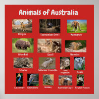 Australische dieren
