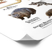 Australische dieren poster (Hoek)