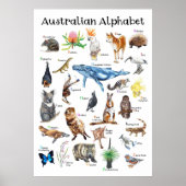 Australische dieren poster (Voorkant)