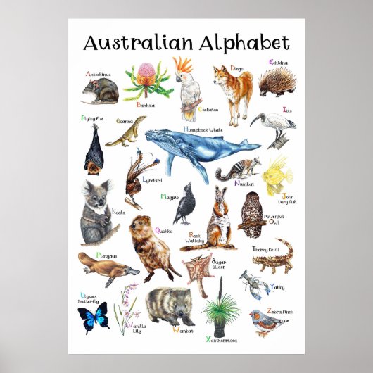 Australische dieren poster (Voorkant)