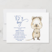 Australische dieren | Quokka Het is een Jongen Bab Kaart (Voorkant)