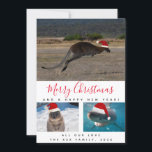 Australische dieren Rode script Multi-fotocollage Feestdagenkaart<br><div class="desc">Wie houdt er nu niet van deze iconische Australische dieren? Maak het kerstfeest van al uw familie en vrienden een stuk leuker door ze deze unieke kerstkaart te sturen met een kangoeroe, quokka en een grote witte haai; allemaal met een leuk kerstmannenhoedje voor het kerstseizoen. De kaart heeft een rode...</div>