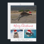 Australische dieren Rode script Multi-fotocollage Feestdagenkaart<br><div class="desc">Wie houdt er nu niet van deze iconische Australische dieren? Maak het kerstfeest van al uw familie en vrienden een stuk leuker door ze deze unieke kerstkaart te sturen met een kangoeroe, quokka en een grote witte haai; allemaal met een leuk kerstmannenhoedje voor het kerstseizoen. De kaart heeft een rode...</div>