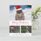 Australische dieren Rood script Multi Foto Collage Feestdagenkaart (Staand voorkant)