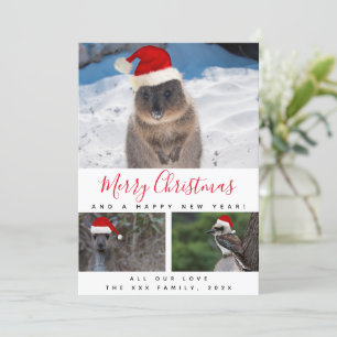 Australische Dieren Rood Script Multi Foto Collage Feestdagenkaart