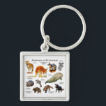 Australische dieren sleutelhanger<br><div class="desc">Dieren tegen achtergrond van Australië</div>