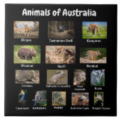 Australische dieren tegeltje (Voorkant)