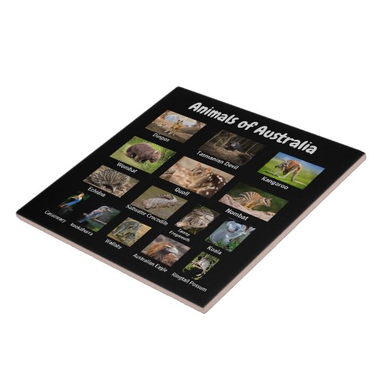 Australische dieren tegeltje (Zijkant)