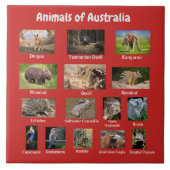 Australische dieren tegeltje (Voorkant)