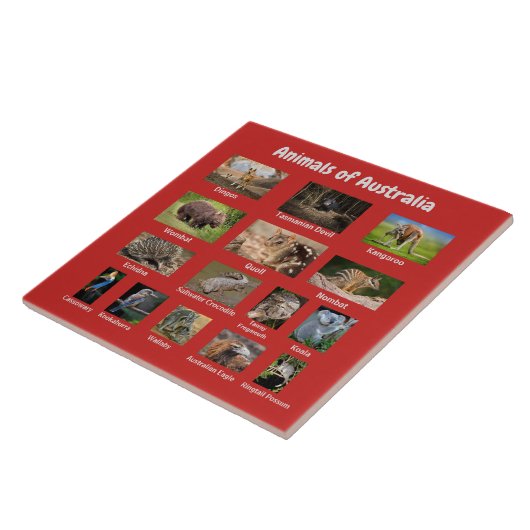 Australische dieren tegeltje (Zijkant)