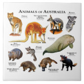 Australische dieren tegeltje (Voorkant)
