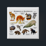 Australische dieren vierkante button 5,1 cm<br><div class="desc">Dieren tegen achtergrond van Australië</div>