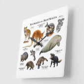 Australische dieren vierkante klok (Hoek)