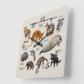 Australische dieren vierkante klok (Hoek)