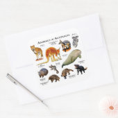 Australische dieren vierkante sticker (Envelop)