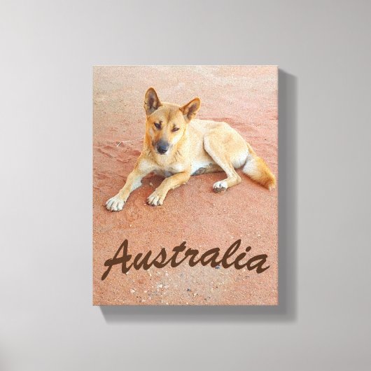 Australische dingo canvas print (Voorkant)