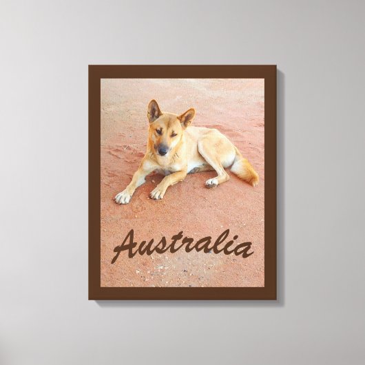 Australische dingo canvas print (Voorkant)