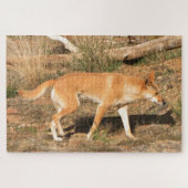Australische dingo legpuzzel (Horizontaal)