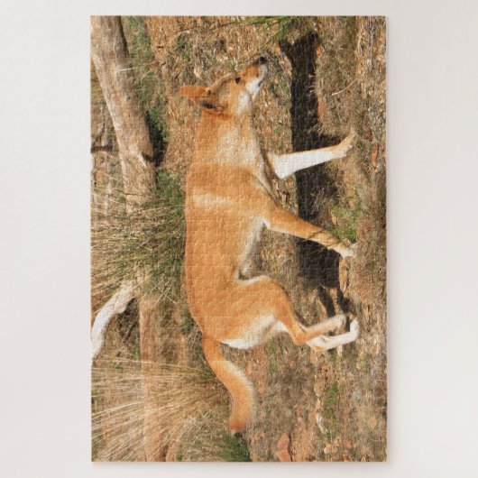 Australische dingo legpuzzel (Verticaal)