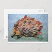 Australische echidna briefkaart (Voorkant / Achterkant)