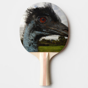 Australische emu met krullende ogen, tafeltennisbatje