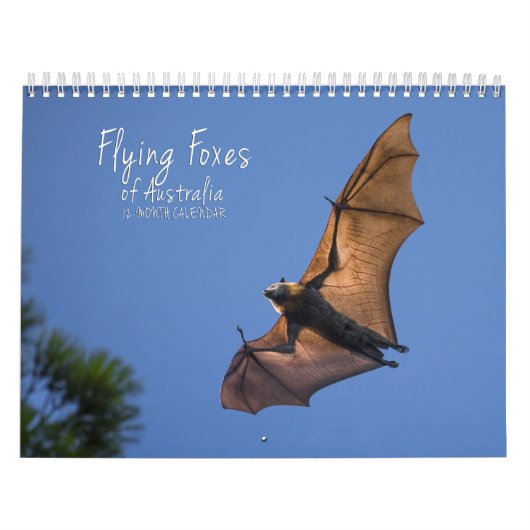 Australische Flying Fox Bat Calendar - 3 maten Kalender (Hoes)