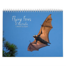 Australische Flying Fox Bat Calendar - 3 maten