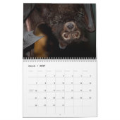 Australische Flying Fox Bat Calendar - 3 maten Kalender (Mar 2027)