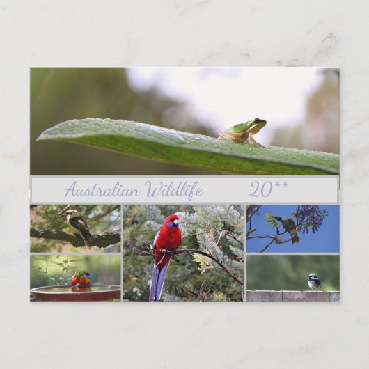 Australische fotografie van wilde dieren feestdagenkaart (Voorkant)