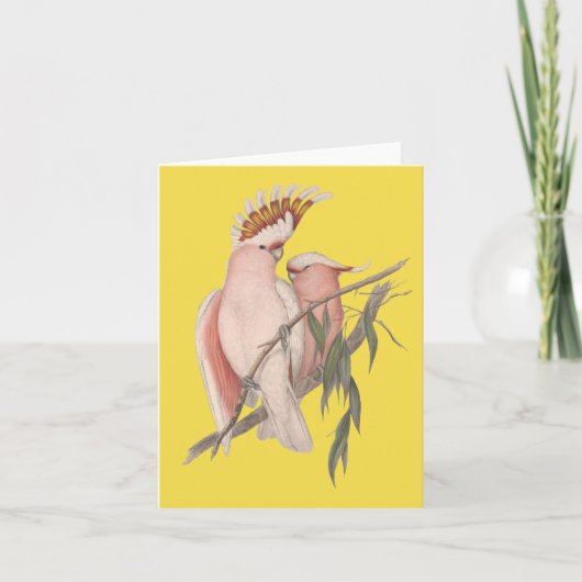 Australische Galah Kaart John Gould (Voorkant)