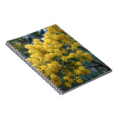 Australische Gele Wattle Tree, Notitieboek (Rechterzijde)
