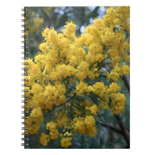 Australische Gele Wattle Tree, Notitieboek (Voorkant)