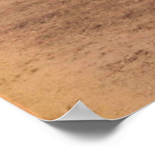 Australische gemonteerde geweren poster (Hoek)