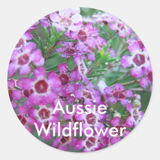 Australische Geralton Wax Ronde Sticker (Voorkant)