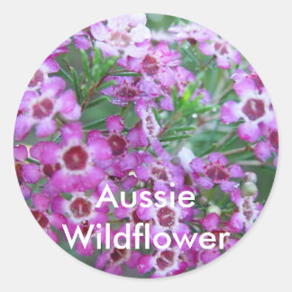 Australische Geralton Wax Ronde Sticker
