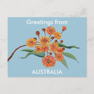 Australische gombloesems briefkaart